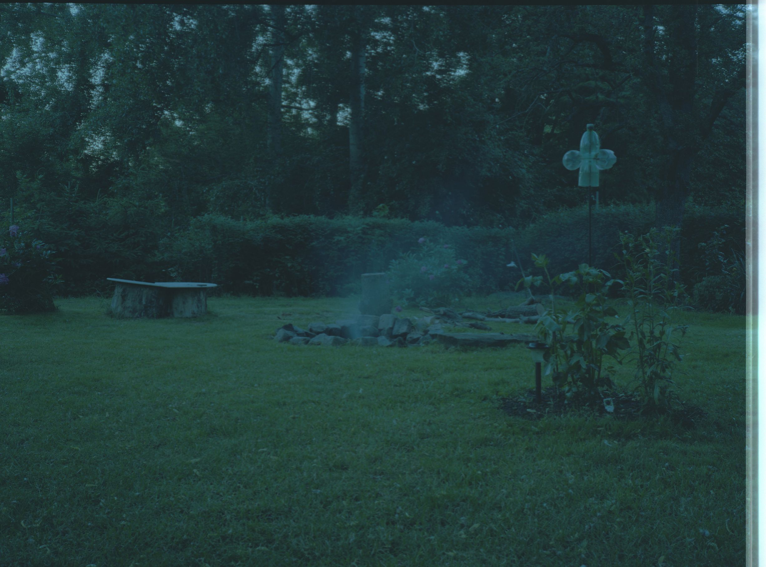 Garden June 2016