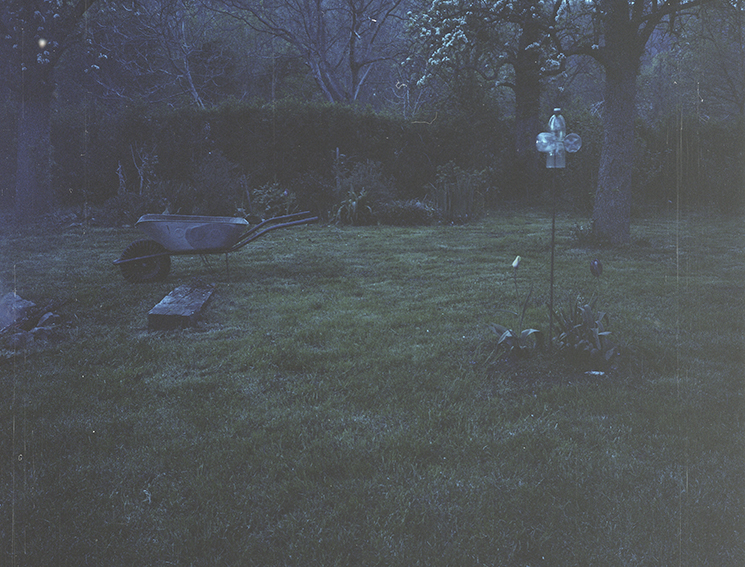 garden May 2016