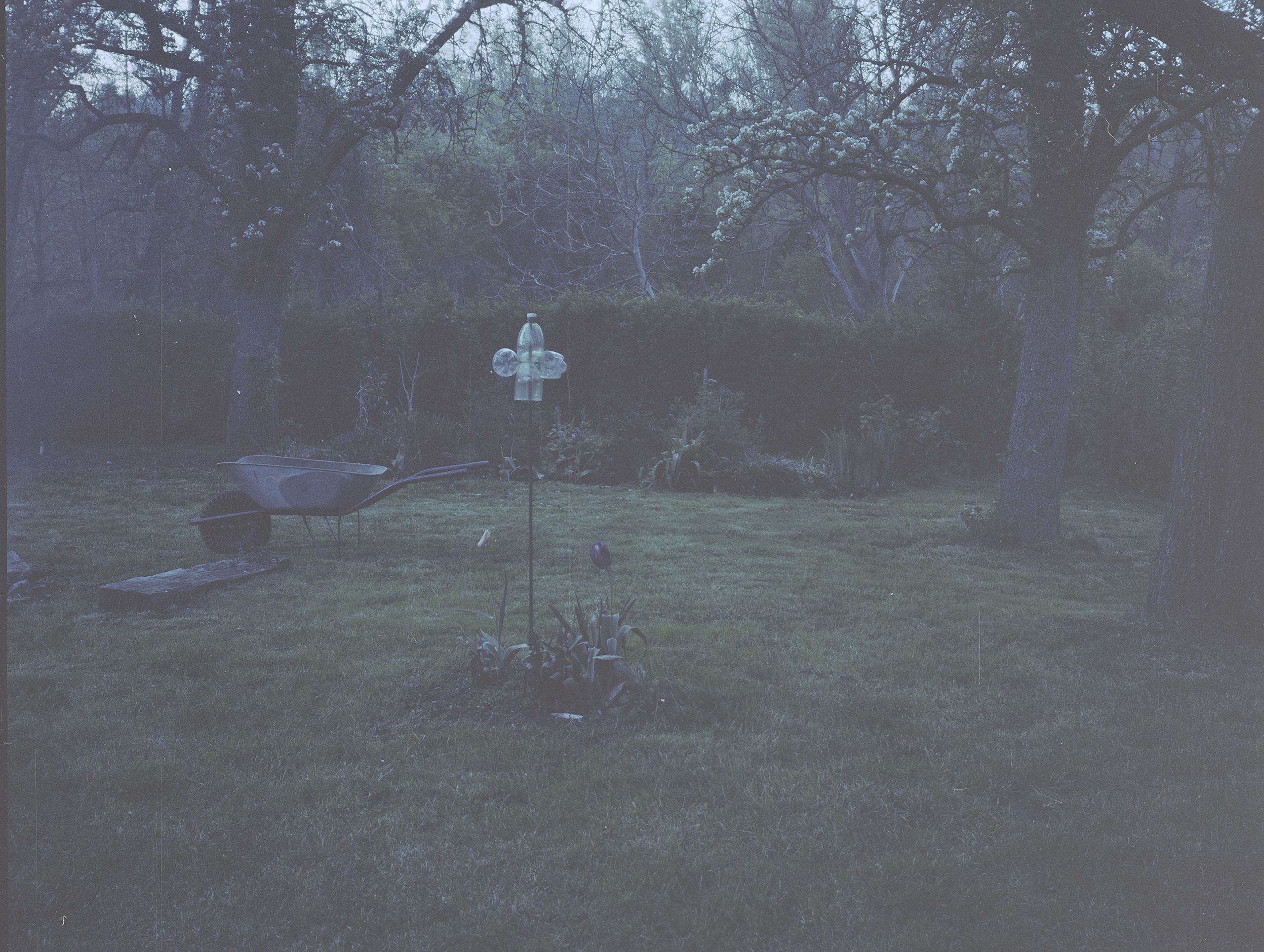 garden May 2016