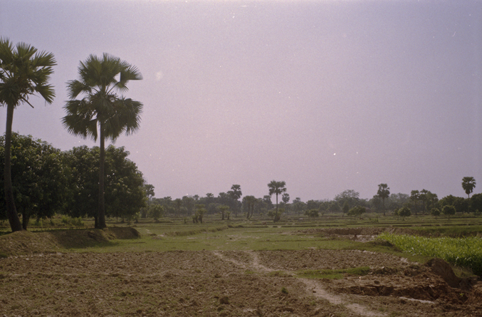 india 2013