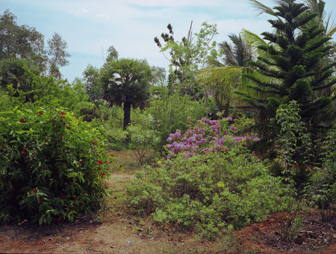 india 2013