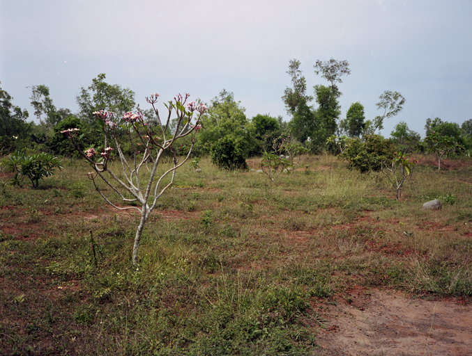 india 2013