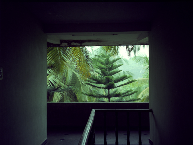 india 2013