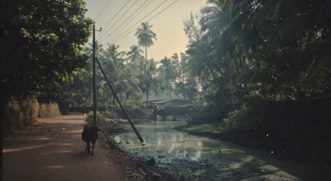 india 2013