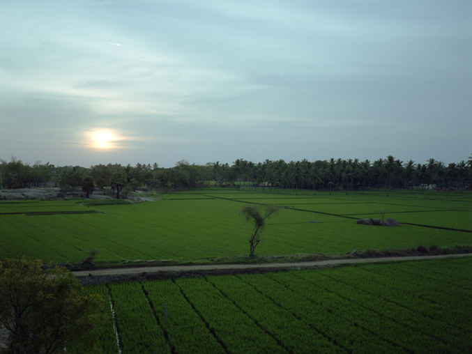 india 2013