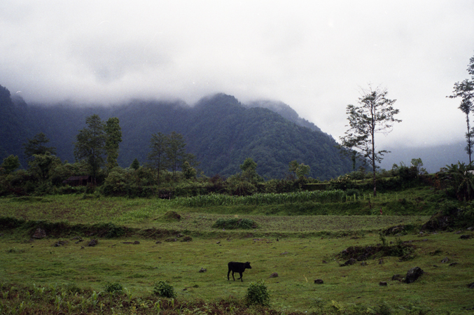 india 2013