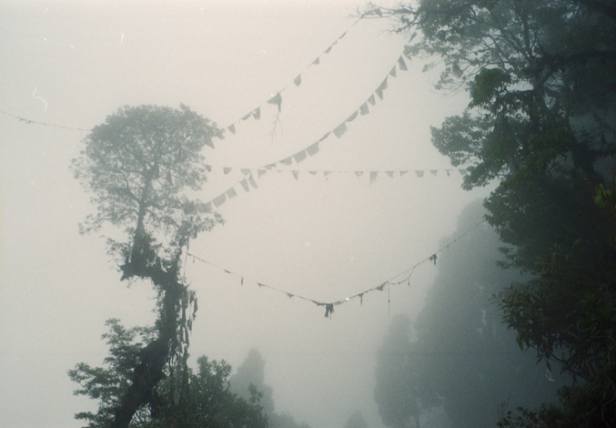 india 2013