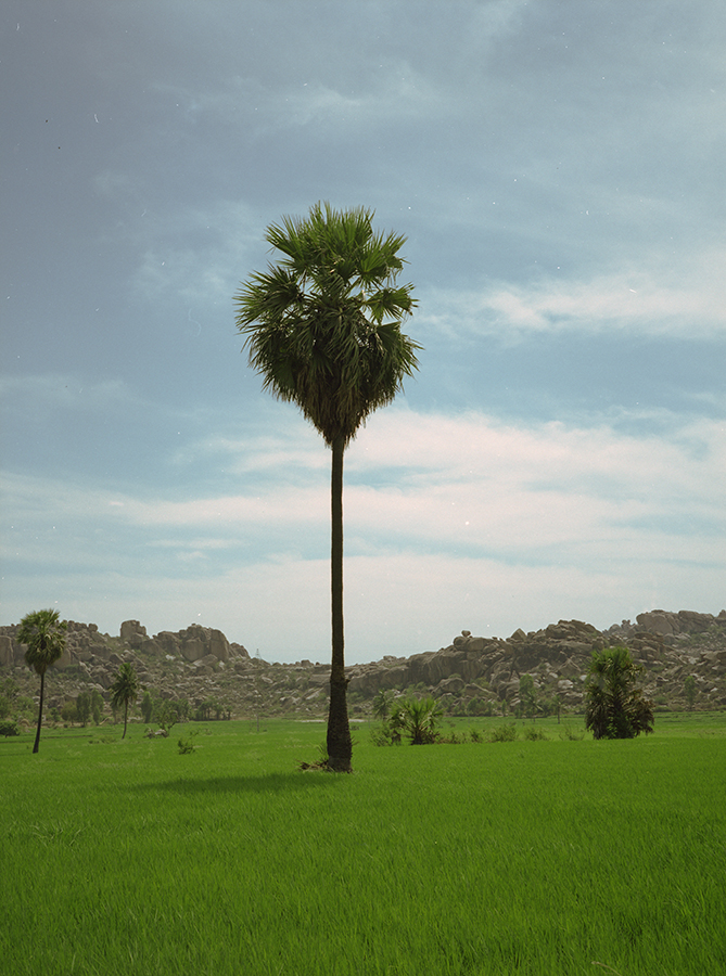 india 2013