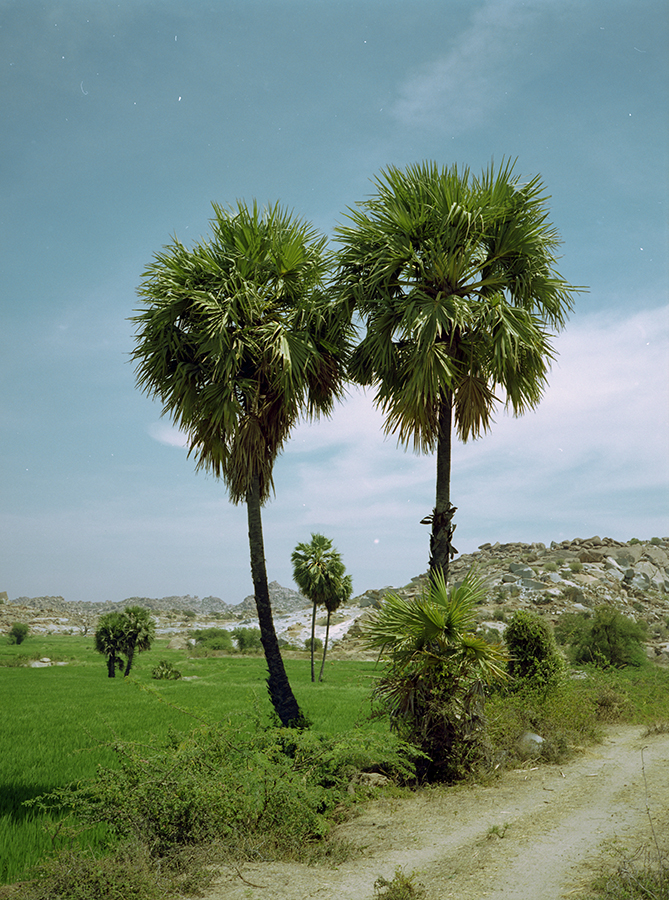 india 2013