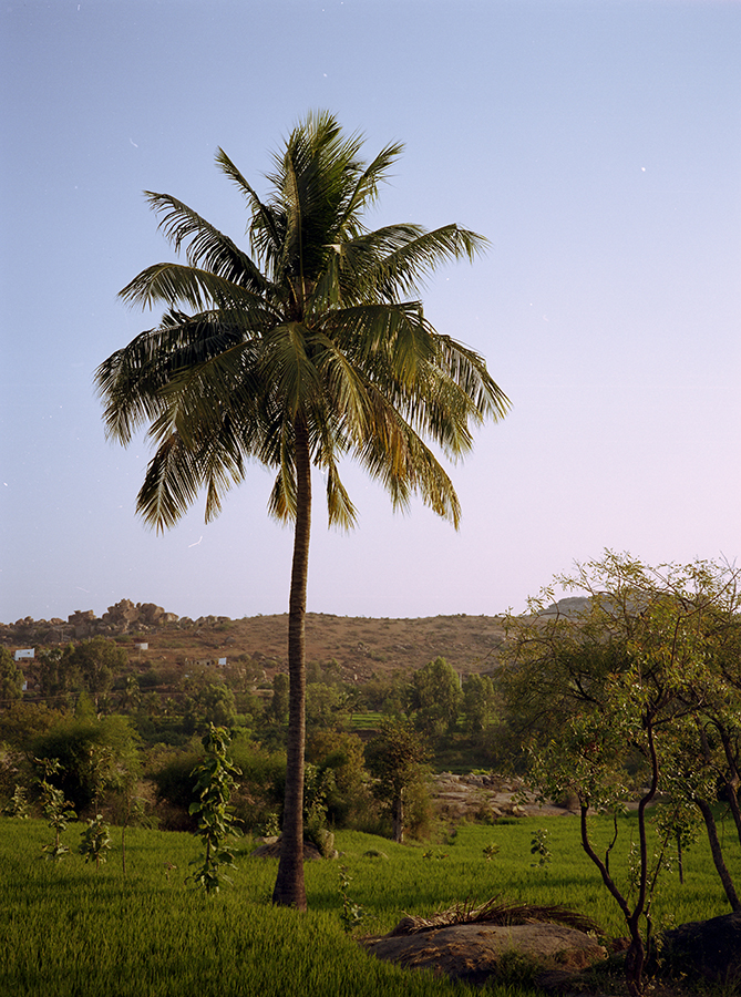 india 2013