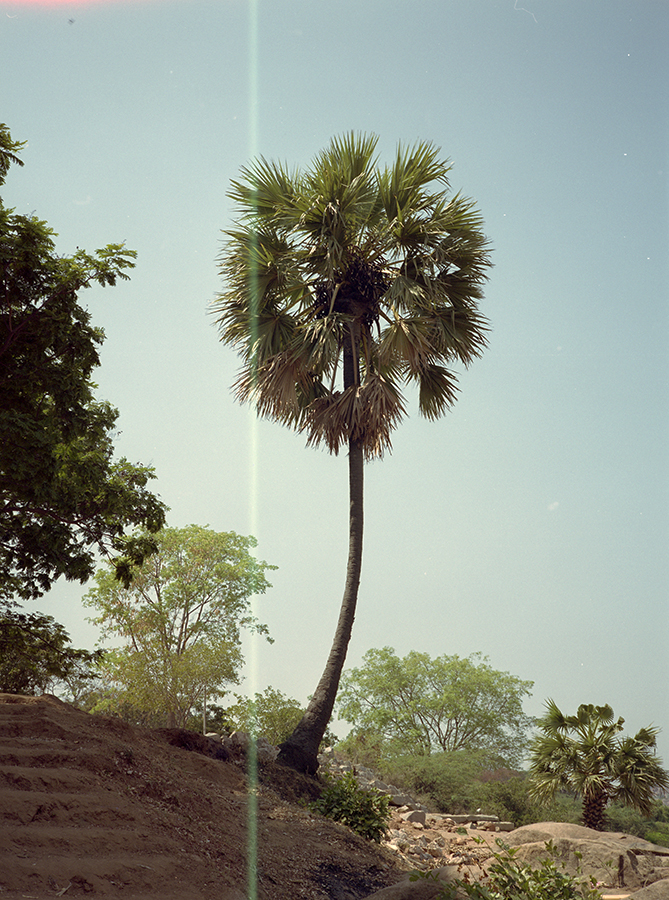 india 2013