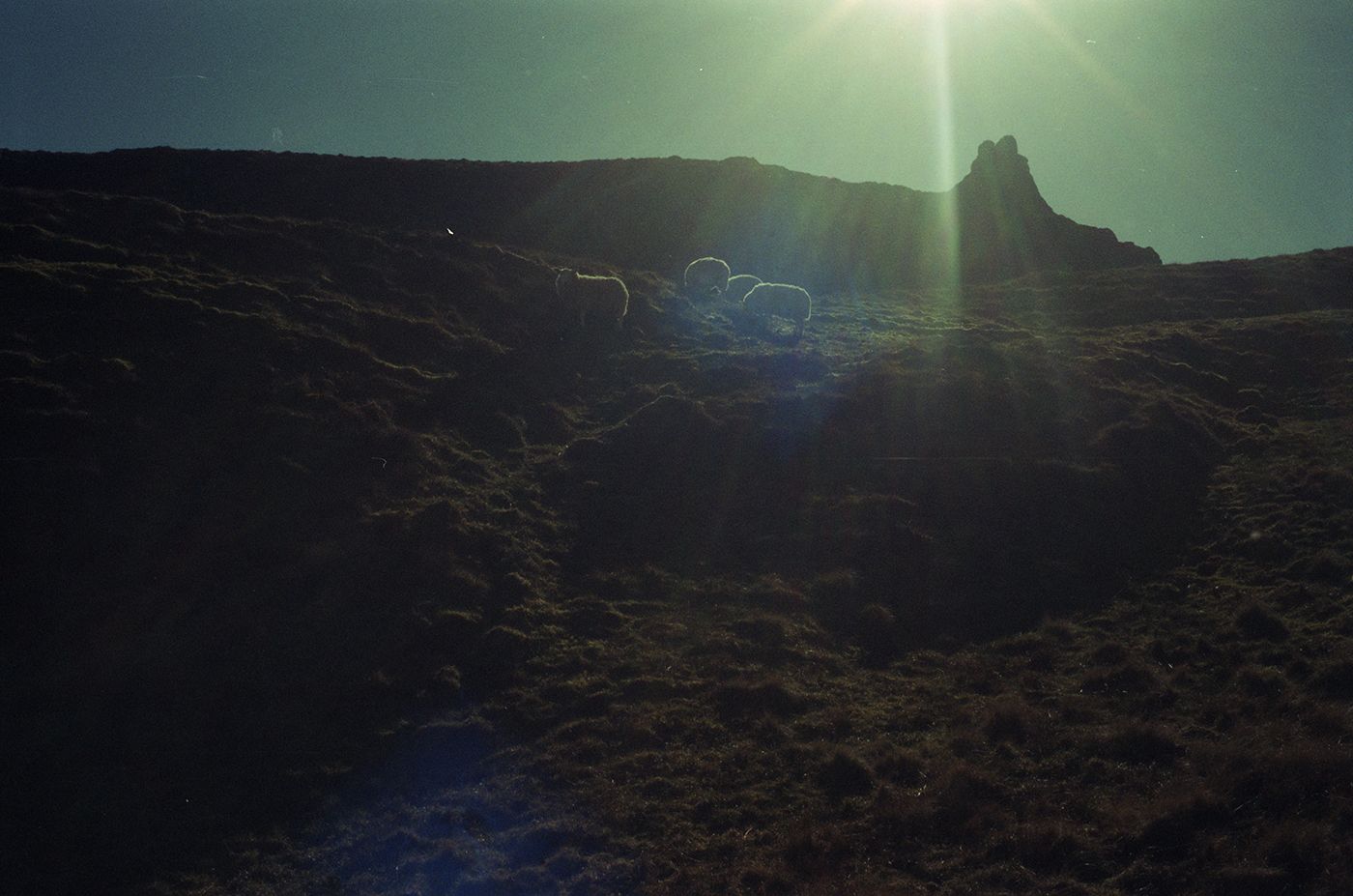 scotland 2009