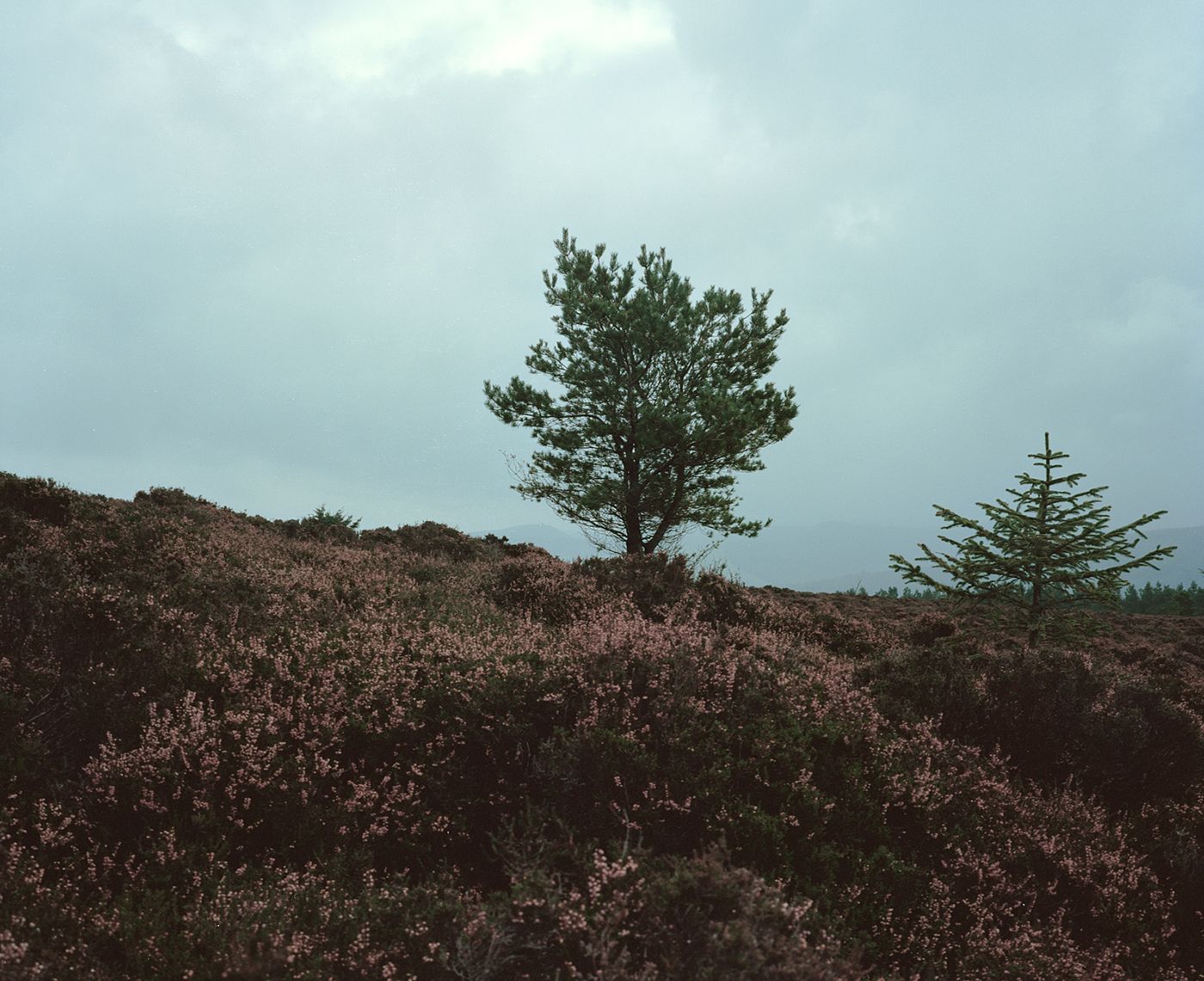 scotland 2009