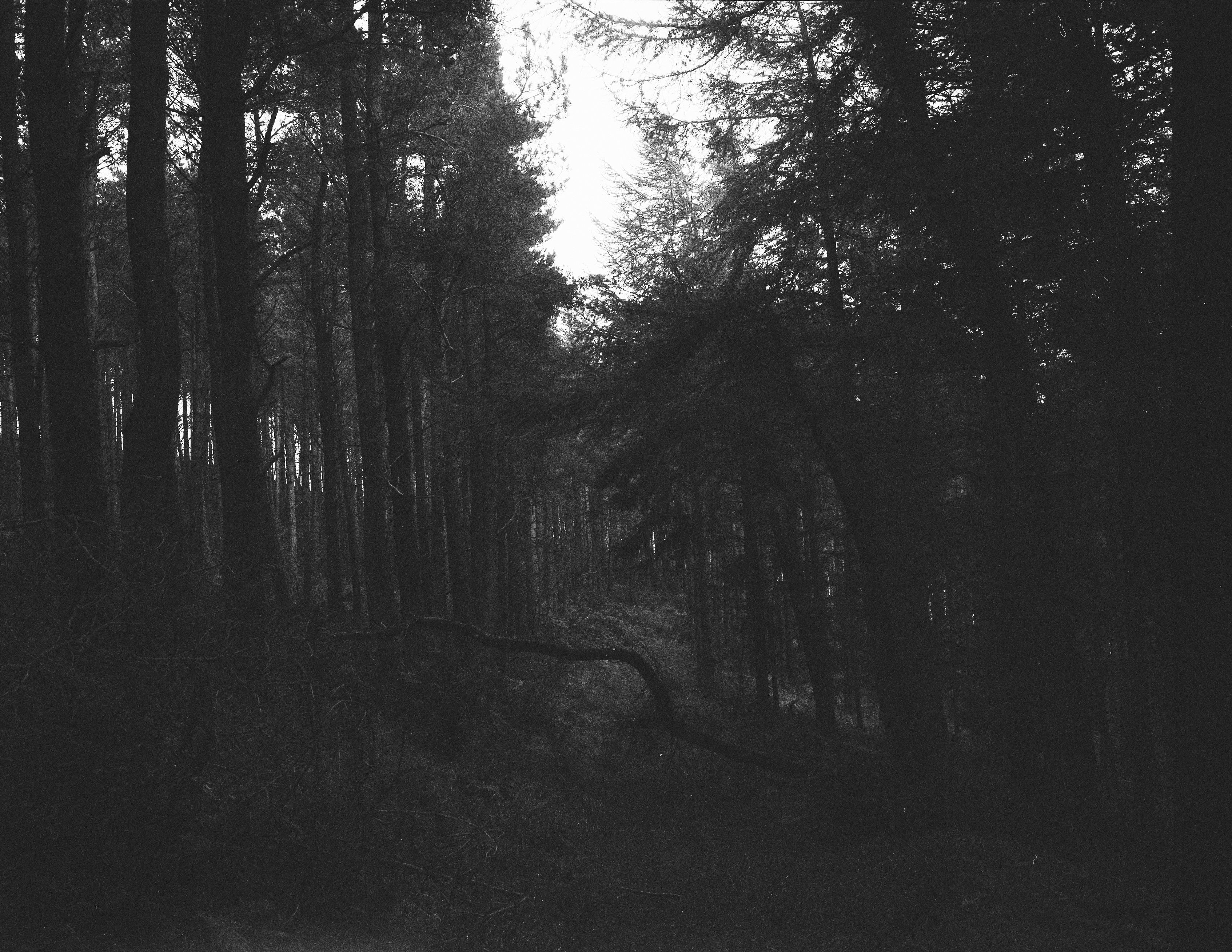 scotland 2009