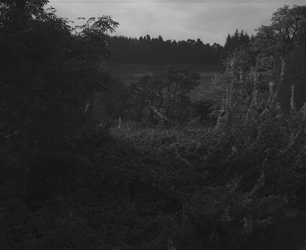 scotland 2009