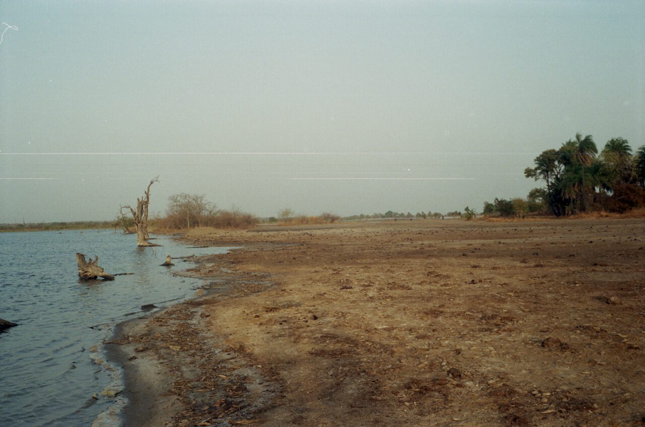 gambia 2011