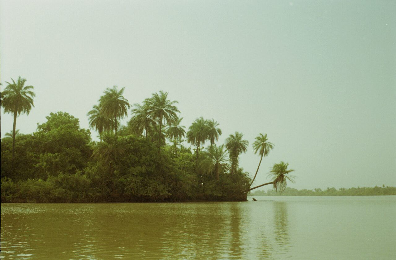 gambia 2011