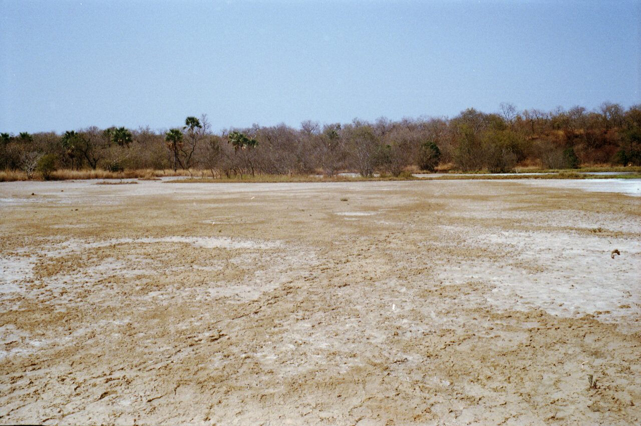 gambia 2011