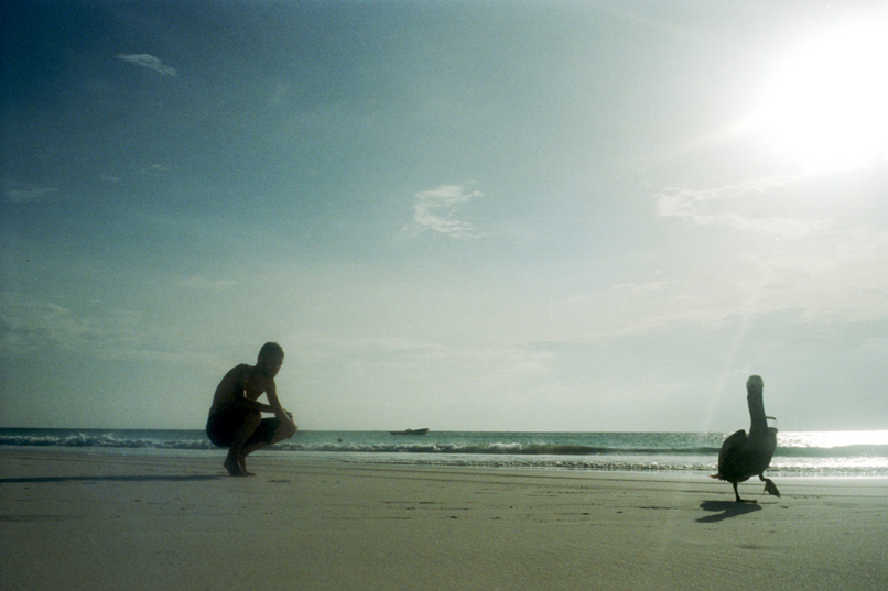 mexico 2008