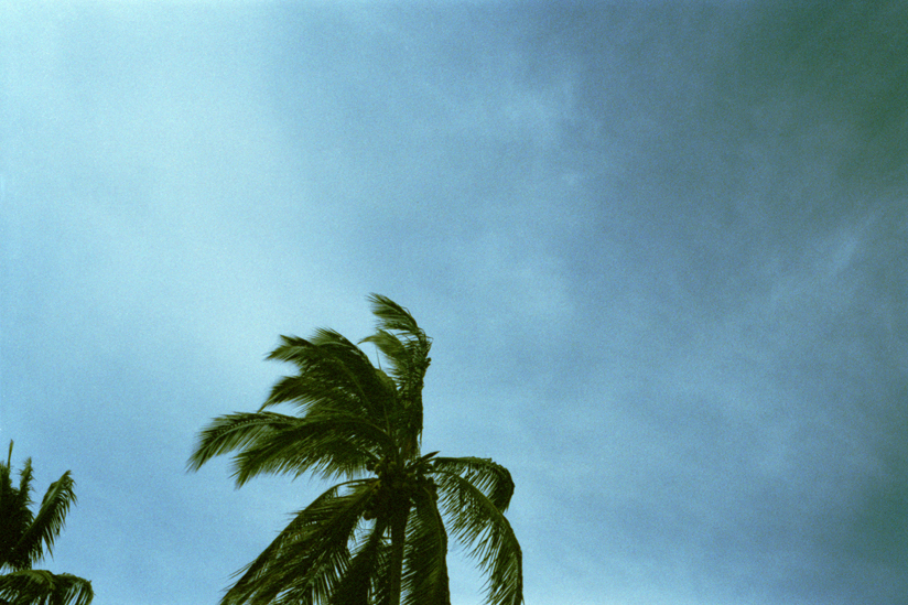 mexiko 2008