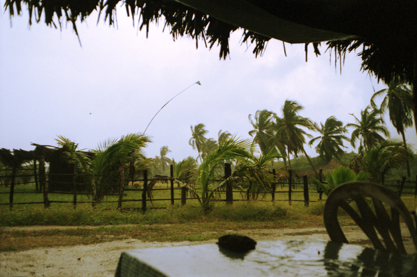 mexico 2008