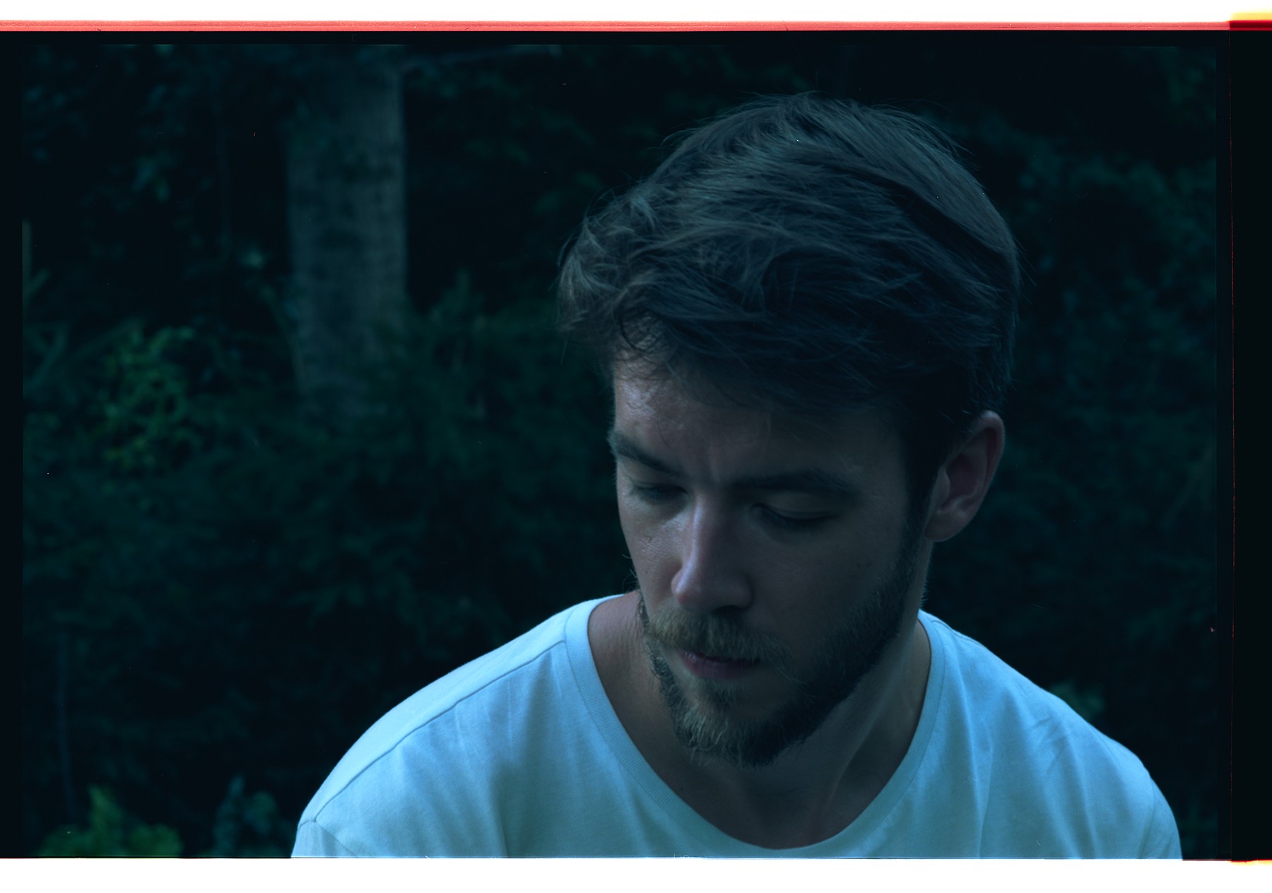 martin query 2018