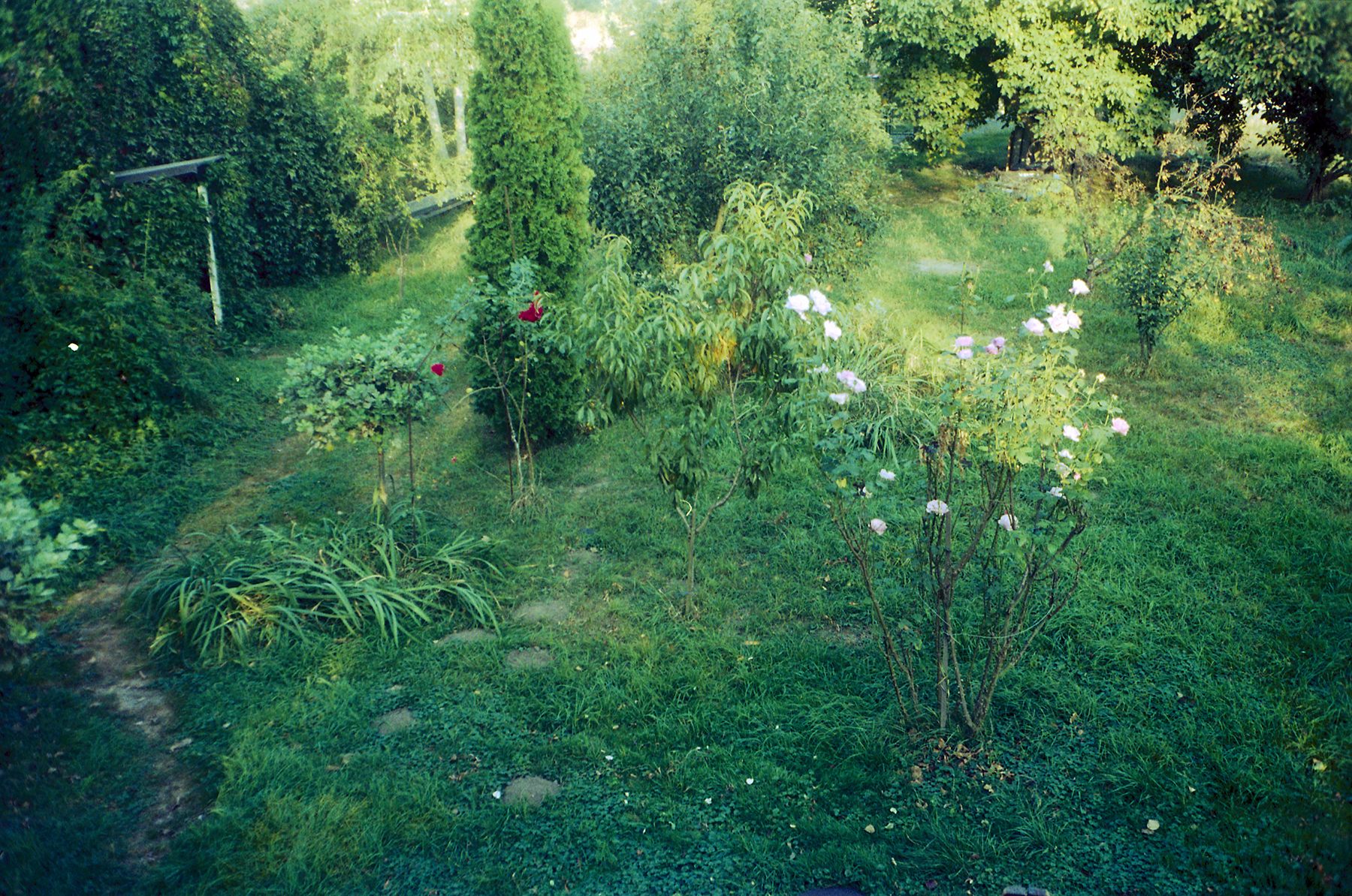 garden 2009